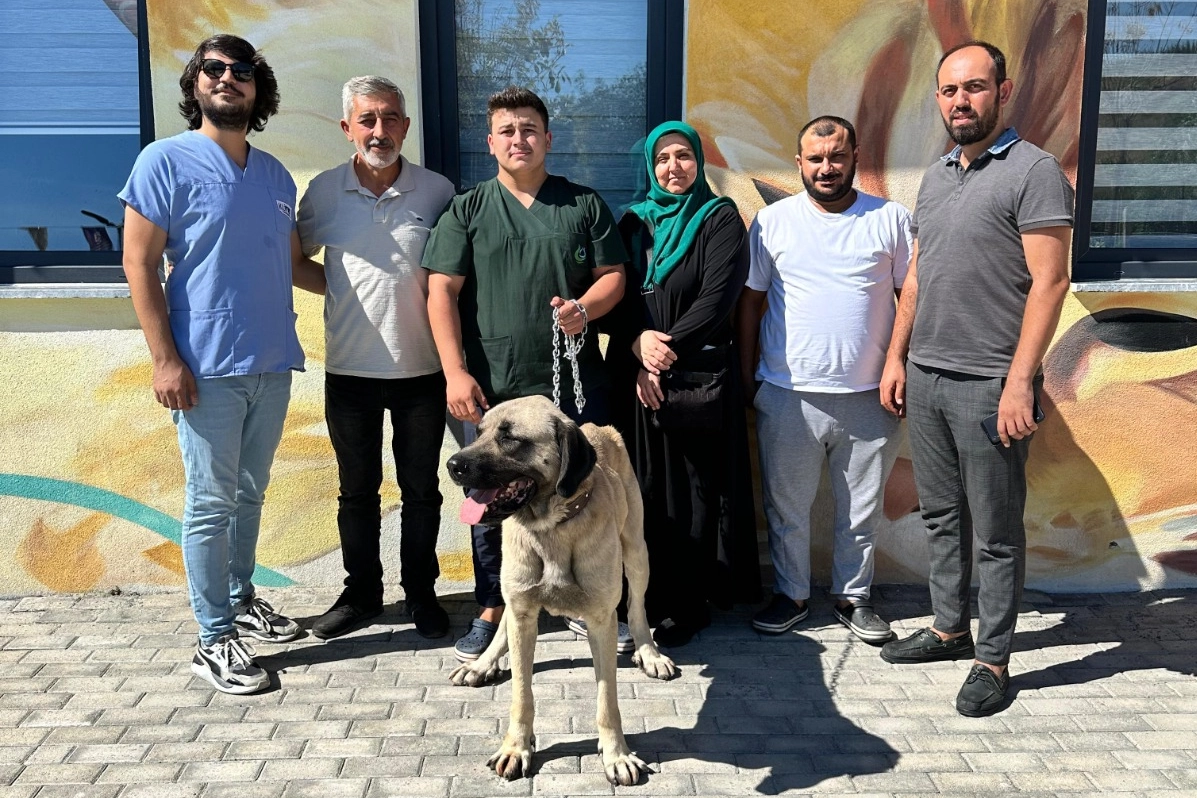 Çayırova'da 10 ayda 170 can dosta yuva bulundu