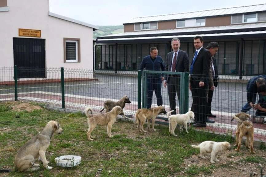 Hayvanları Koruma Kanunu 'Resmi'leşti!