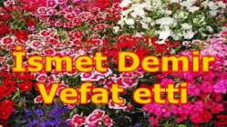 İsmet Demir Vefat etti