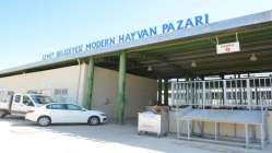 İzmit Modern Hayvan Pazarı'na kurbanlıklar getirildi