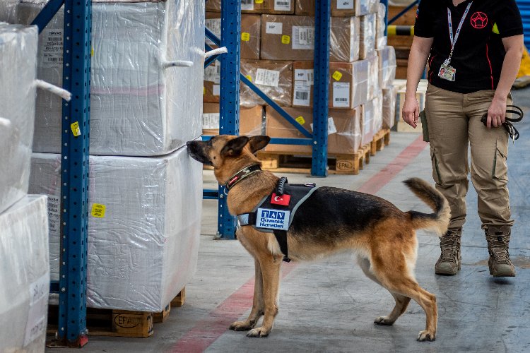 K9 köpekleri COVID-19 kontrolüne başlayacak