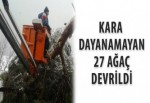 Kara dayanamayan 27 ağaç devrildi