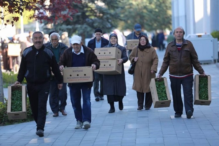 Kayseri Kocasinan'da organik etkinlik