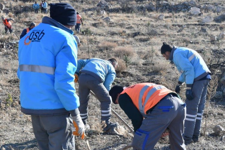 Kayseri OSB'den fidan seferberliği