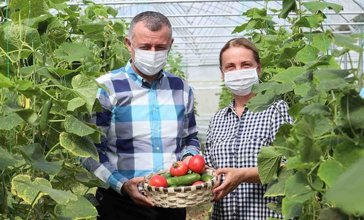 Kocaeli Bayraktar köyünde ilk hasadı, Başkan Büyükakın yaptı