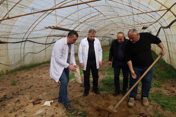 Kocaeli'de üreticiye destek devam ediyor