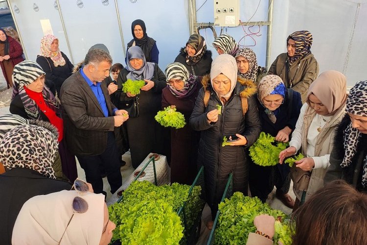 Kocaeli'nde topraksız tarıma kadın çiftçilerden yoğun ilgi