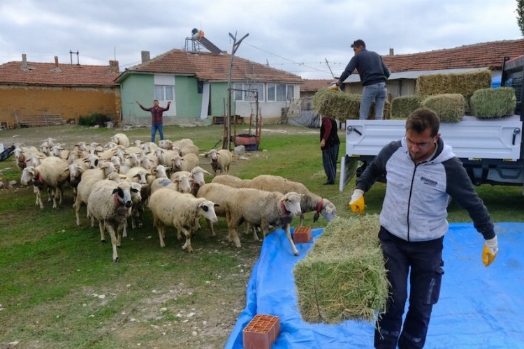 Küçük üreticiye can suyu gibi destek