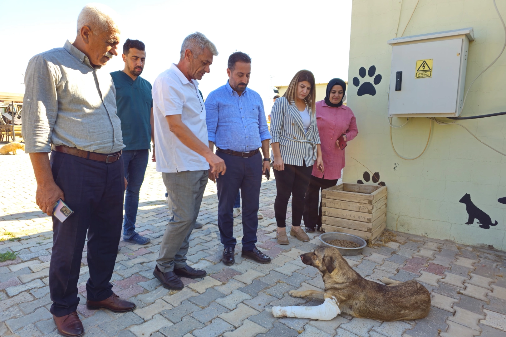 Kızıltepe'de tedavi gören sokak hayvanlarına ziyaret