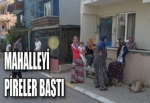 MAHALLEYİ PİRELER BASTI