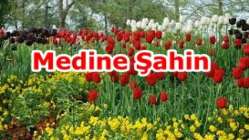 Medine Şahin Vefat etti