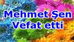 Mehmet Şen Vefat etti