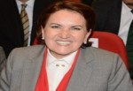 Meral Akşener: "Sen bostan korkuluğu musun"