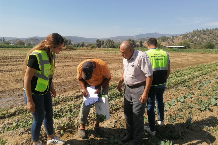 Milas'ta tarımsal üretimi desteğe devam