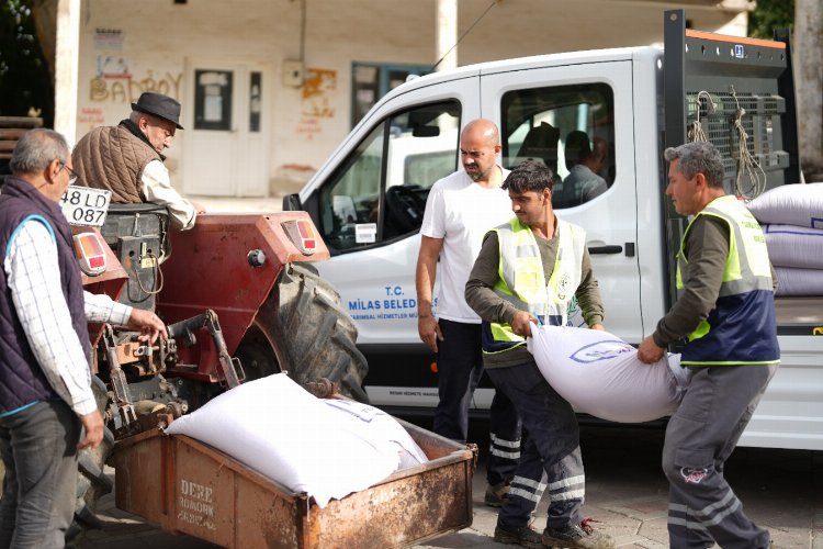 Milas'tan çiftçilere tohum desteği