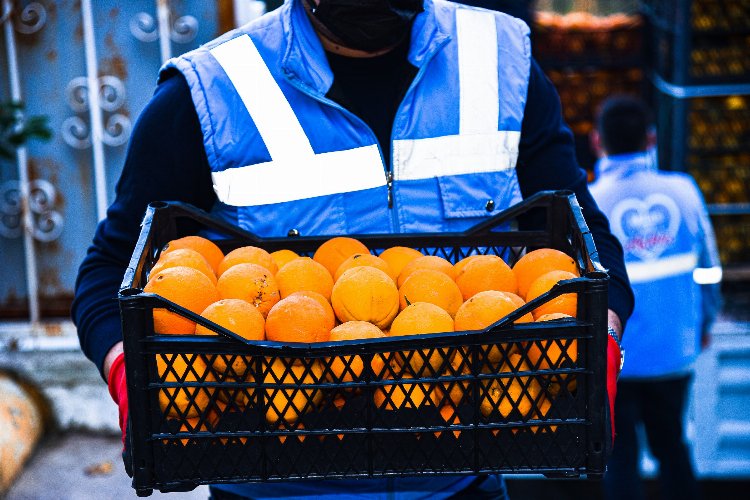 Muğla Milas'ta üreticiye portakal ve limon desteği 