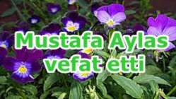 Mustafa Aylas vefat etti