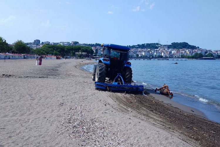 Ordu sahilleri temizleniyor