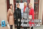 Rotary'lilerden örnek çalışma