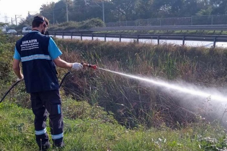 Sakarya'da kışlık ilaçlamalar devam ediyor 