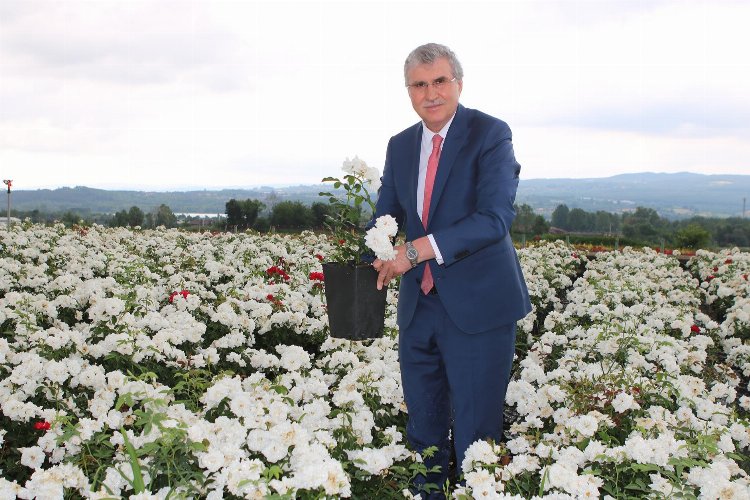 Sakarya'nın bereketi dünya sahnesine taşınıyor