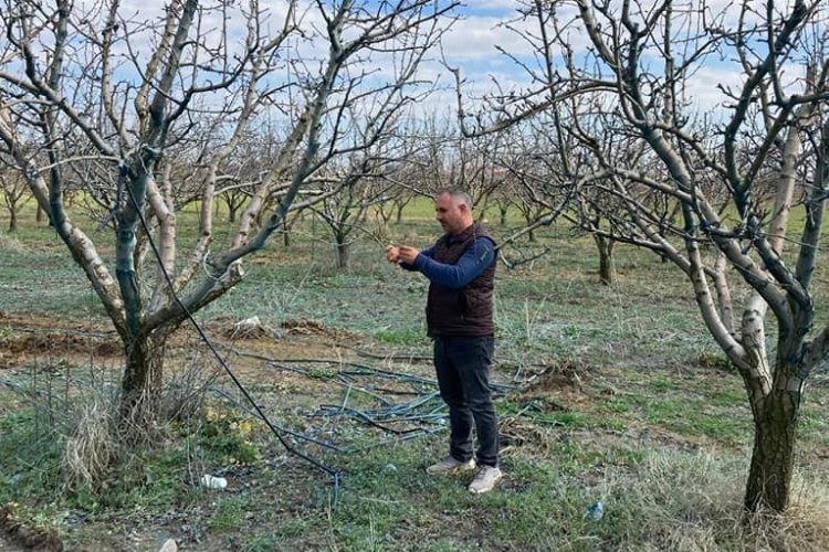 TARSİM'in destek prim oranı belirlendi