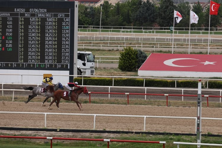 TJK'nın Nilüfer koşusunu 'Kardeşcan' kazandı