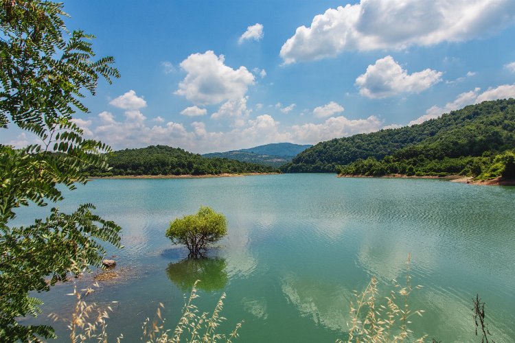 Yalova Gökçe Barajı'ndan sevindirici haber 