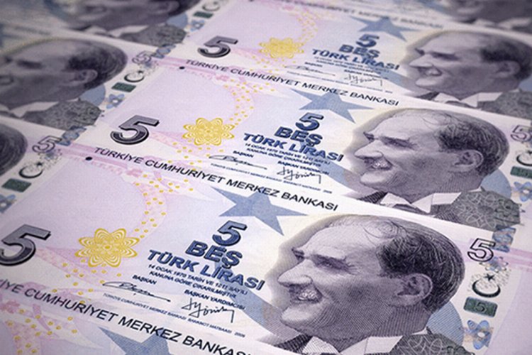 Yeni 5 TL'lik banknotlar tedavüle girdi