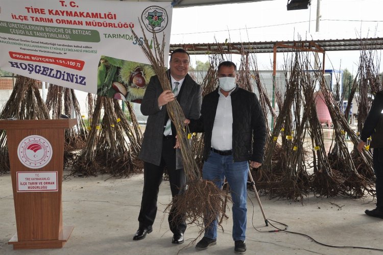 İzmir'de Tireli kestane üreticilerine, Bouche ve Betizac çeşidi tanıtıldı 