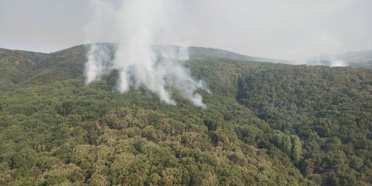 Tunceli’de yangına havadan müdahale