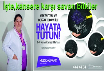 Uzmanlar, Kansere karşı savan bitkiler öneriliyor