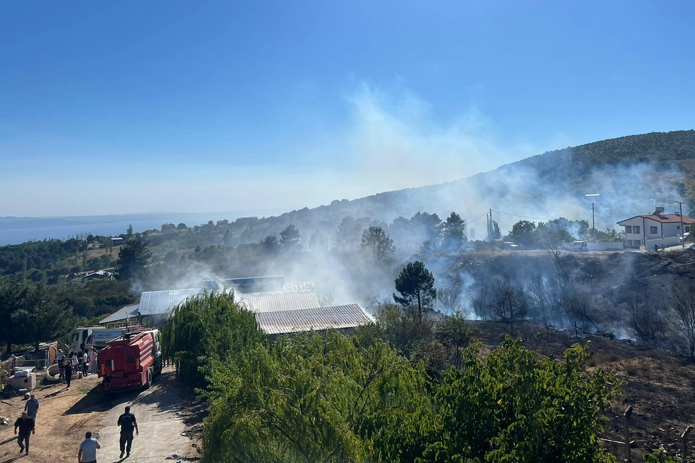 Yalova Armutlu'da orman yangını kontrol altında