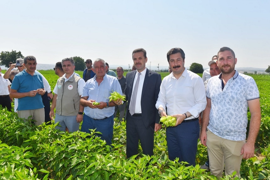 Yenişehir Biberi'nin marka değeri artacak