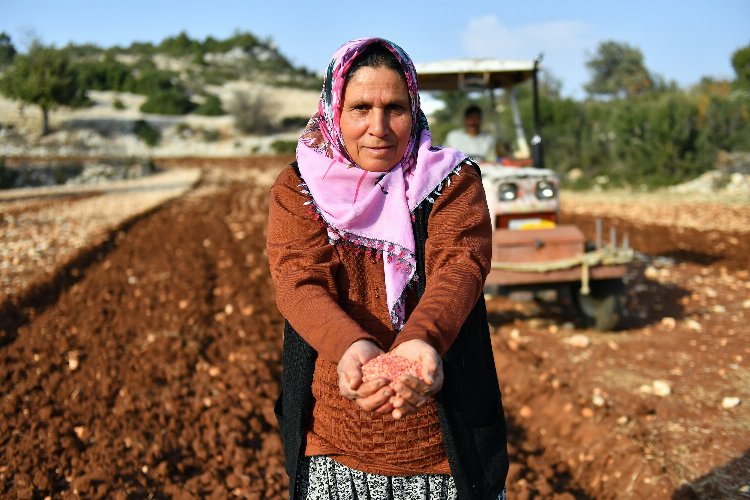 Yerel buğday gelecek nesillere aktarılıyor