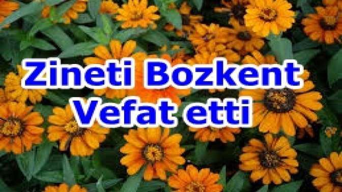 Zineti Bozkent Vefat etti